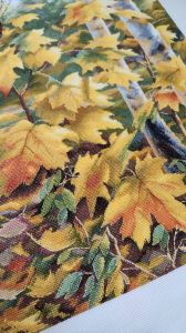 1559 - Золото кленовых листьев