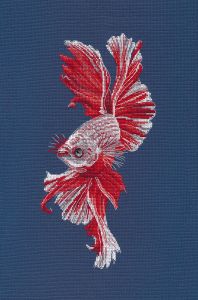 1597 - Рыбка Петушок