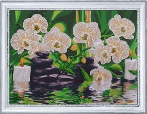 166 - Белые орхидеи