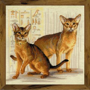 1671 - Абиссинские кошки