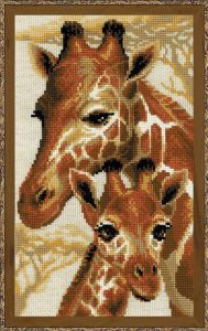 1697 - Жирафы