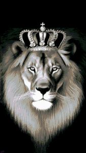 17-2405-НК - Король лев