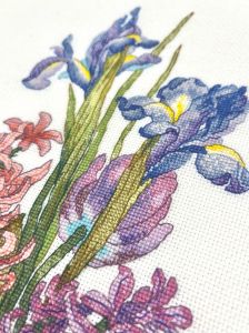 1719 - Гиацинты