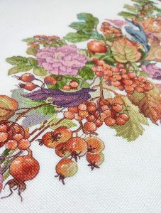 1720 - Осенние ягоды