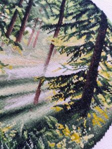 1730 - Игра света