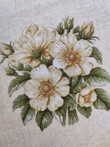 1731 - Дикий шиповник