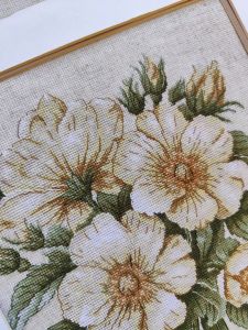 1731 - Дикий шиповник