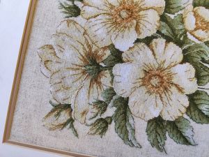 1731 - Дикий шиповник