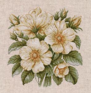 1731 - Дикий шиповник