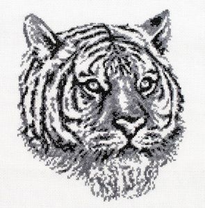 187 - Тигр