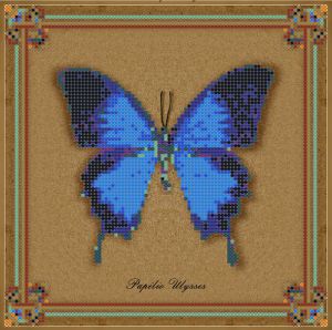 1НБис-014арт - Коллекция бабочек