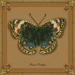 1НБис-017арт - Коллекция бабочек
