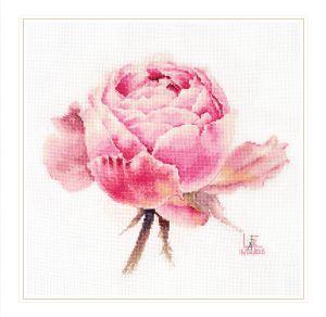 2-53 - Акварельные розы. Розовая изысканная