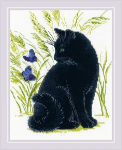 2001 - Черный кот