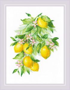 2054 - Яркие лимоны