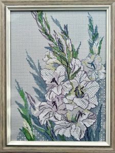 2297 - Белые гладиолусы