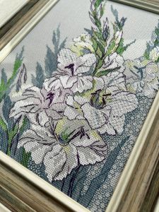 2297 - Белые гладиолусы