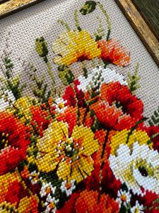 2306 - Степные маки