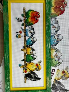 2317 - Попугайчики