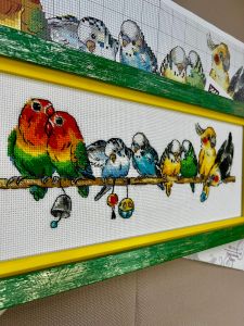 2317 - Попугайчики