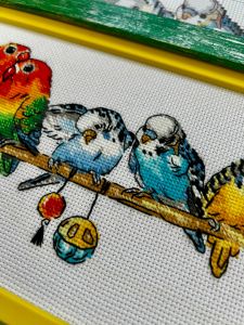 2317 - Попугайчики