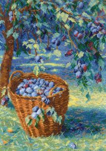 2324 - Урожай слив