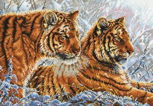 2333 - Амурские тигры