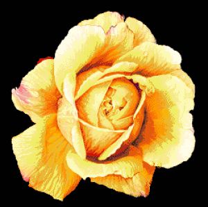 29-2116-НЖ - Желтая роза