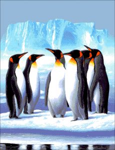 30-2760-НП - Пингвины