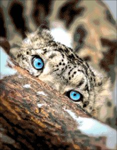 32-2668-НГ - Голубоглазый