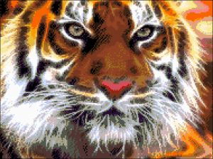 33-0910-НА - Амурский тигр