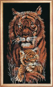 343 - Тигры