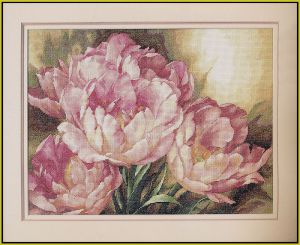 35175 - Трио тюльпанов