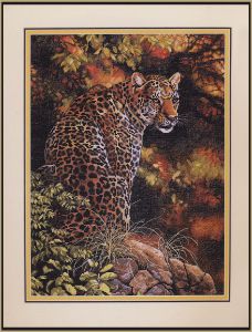 35209 - Пристальный взгляд леопарда