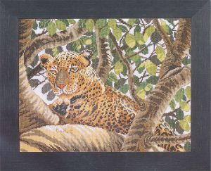 38002a - Царственный леопард