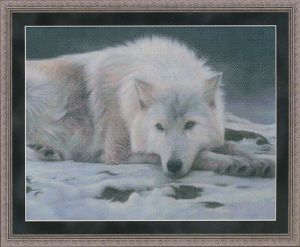 38027 - Волк на снегу