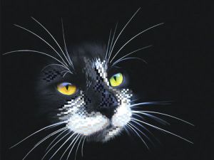 4102 - Чёрный кот