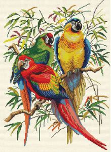 4164 - Тропические попугаи