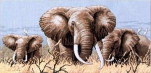 4365 - Африканские слоны