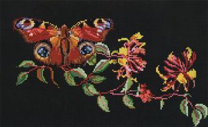 439.05 - Бабочка и жимолость