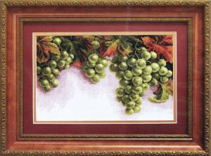 445 - Грозди винограда