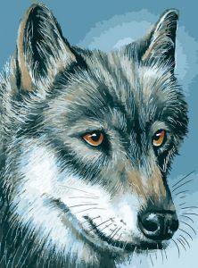 523-AS-уценка - Серый волк (Уценка)