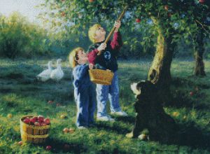 52431 - Нет ничего лучше этих яблок