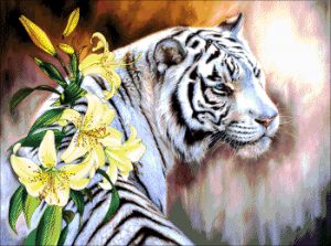 53-3072-НБ - Бенгальский тигр