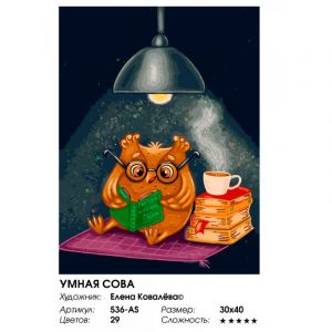 536-AS - Умная сова