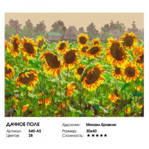 540-AS - Дачное поле