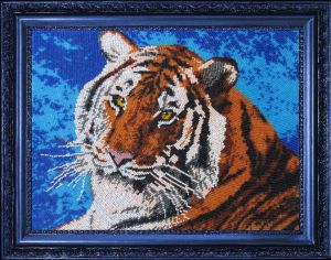 553 - Тигр