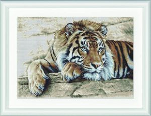 579 - Тигр