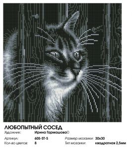 605-ST-S - Любопытный сосед