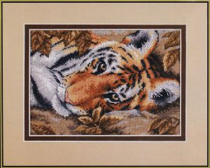 65056 - Притягательный тигр